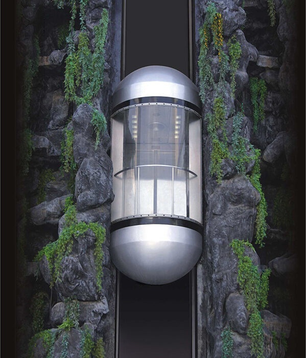 Capsule Lift Image